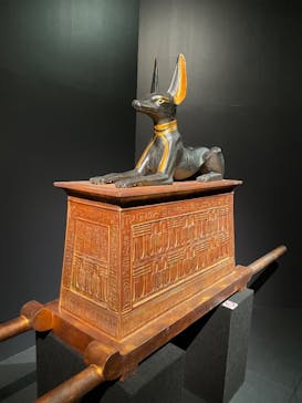 MYSTERY OF TUTANKHAMEN 体感型古代エジプト展に投稿された画像（2025/8/8）