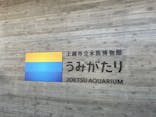 上越市立水族博物館 うみがたりに投稿された画像（2025/8/8）