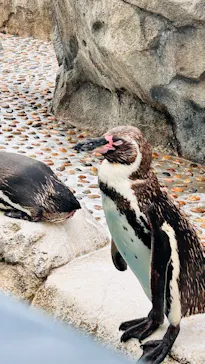 仙台うみの杜水族館に投稿された画像（2025/8/8）