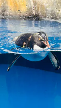 仙台うみの杜水族館に投稿された画像（2025/8/8）