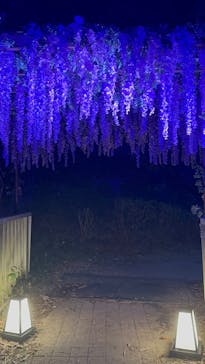 ニジゲンノモリに投稿された画像（2025/8/8）