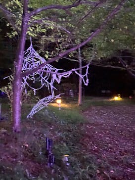 ニジゲンノモリに投稿された画像（2025/8/8）