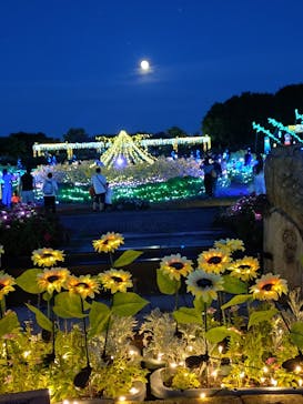 せんだい農業園芸センター　みどりの杜に投稿された画像（2025/8/8）