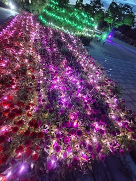 せんだい農業園芸センター　みどりの杜に投稿された画像（2025/8/8）