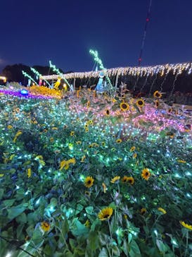 せんだい農業園芸センター　みどりの杜に投稿された画像（2025/8/8）