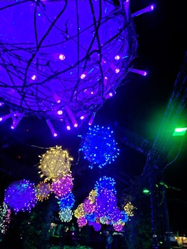 せんだい農業園芸センター　みどりの杜に投稿された画像（2025/8/8）