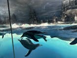 名古屋港水族館に投稿された画像（2025/8/8）