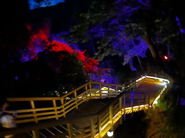 ニジゲンノモリに投稿された画像（2025/8/8）