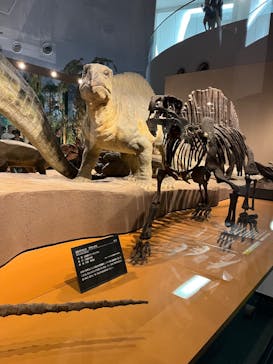 福井県立恐竜博物館に投稿された画像（2025/8/8）