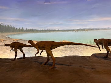 福井県立恐竜博物館に投稿された画像（2025/8/8）