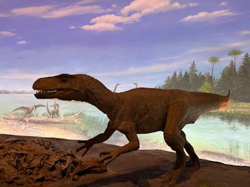 福井県立恐竜博物館に投稿された画像（2025/8/8）