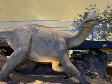福井県立恐竜博物館に投稿された画像（2025/8/8）
