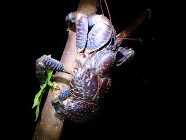 宮古島マリンショップSmileyに投稿された画像（2025/8/8）