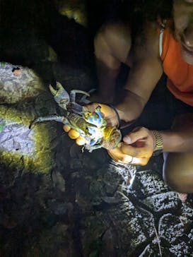 宮古島マリンショップSmileyに投稿された画像（2025/8/8）