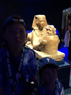 ACN ラムセス大王展 ファラオたちの黄金に投稿された画像（2025/8/8）