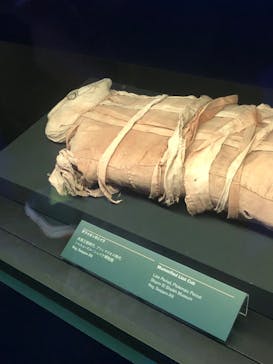 ACN ラムセス大王展 ファラオたちの黄金に投稿された画像（2025/8/8）