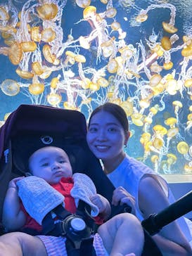 新江ノ島水族館に投稿された画像（2025/8/8）