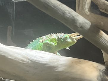 カワスイ 川崎⽔族館に投稿された画像（2025/8/8）