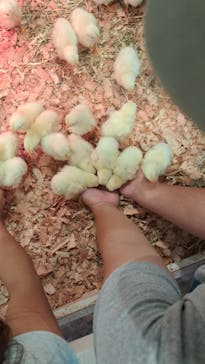 アニタッチみなとみらいに投稿された画像（2025/8/8）