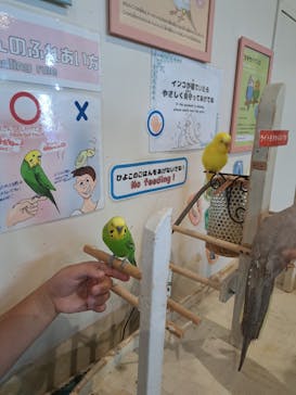 アニタッチみなとみらいに投稿された画像（2025/8/8）