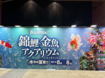 錦鯉・金魚アクアリウム in ときメッセに投稿された画像（2025/8/8）