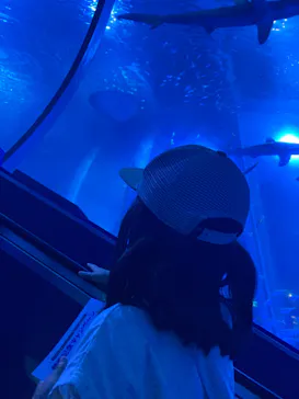 横浜・八景島シーパラダイスに投稿された画像（2025/8/9）