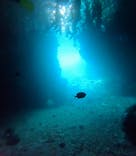 武藤潜水に投稿された画像（2025/8/9）