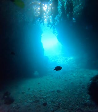 武藤潜水に投稿された画像（2025/8/9）