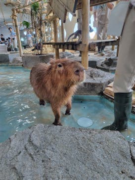 NIFREL（ニフレル）に投稿された画像（2025/8/9）