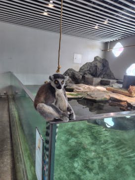 NIFREL（ニフレル）に投稿された画像（2025/8/9）