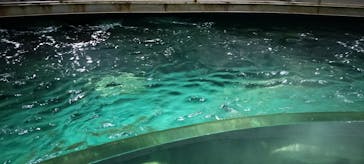 城崎マリンワールドに投稿された画像（2025/8/9）