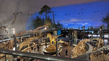 福井県立恐竜博物館に投稿された画像（2025/8/9）