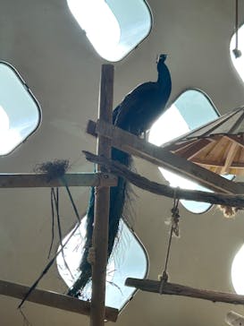 NIFREL（ニフレル）に投稿された画像（2025/8/9）