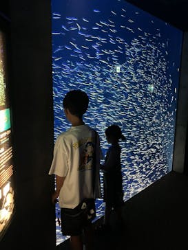 大分マリーンパレス水族館 「うみたまご」に投稿された画像（2025/8/9）