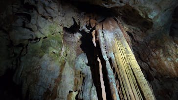 秋芳洞に投稿された画像（2025/8/9）