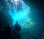 沖縄マリンサービス碧に投稿された画像（2025/8/9）