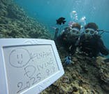 青の洞窟専門店　沖縄ダイビングショップ和に投稿された画像（2025/8/9）