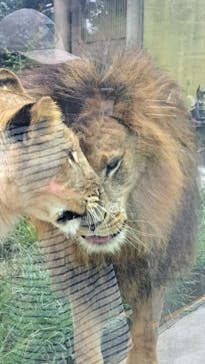 東武動物公園に投稿された画像（2025/8/9）