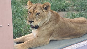 東武動物公園に投稿された画像（2025/8/9）