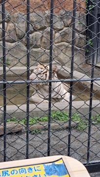 東武動物公園に投稿された画像（2025/8/9）