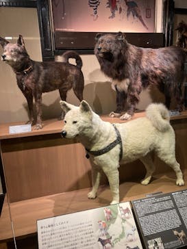 国立科学博物館に投稿された画像（2025/8/9）