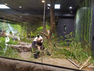 恩賜上野動物園に投稿された画像（2025/8/9）