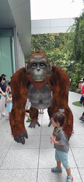 君も博士になれる展 in東京ミッドタウン八重洲に投稿された画像（2025/8/9）