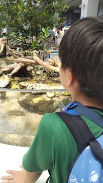 名古屋港水族館に投稿された画像（2025/8/9）