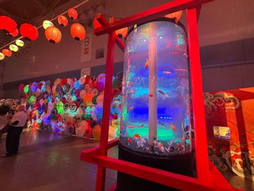 錦鯉・金魚アクアリウム in ときメッセに投稿された画像（2025/8/9）