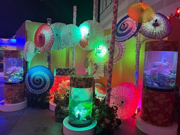 錦鯉・金魚アクアリウム in ときメッセに投稿された画像（2025/8/9）