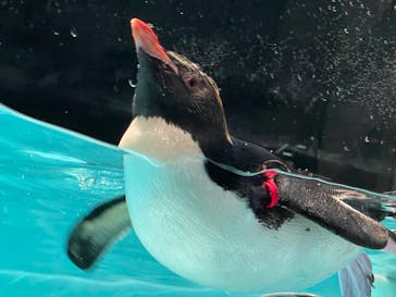 AOAO SAPPOROに投稿された画像（2025/8/9）