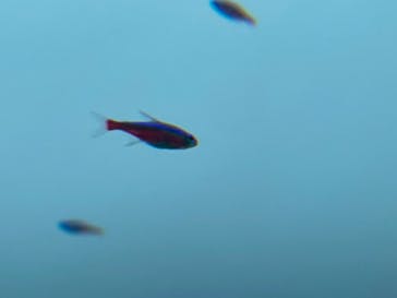 AOAO SAPPOROに投稿された画像（2025/8/9）