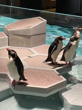 AOAO SAPPOROに投稿された画像（2025/8/9）