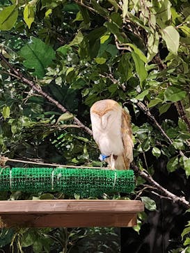 DMMかりゆし水族館に投稿された画像（2025/8/9）